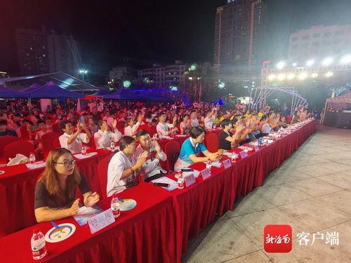 三亞吉陽區社會組織文藝匯演展風采，公益創投碩果盈枝助社區